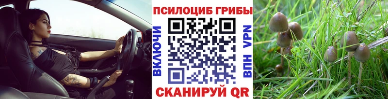 Псилоцибиновые грибы MAGIC MUSHROOMS  где можно купить   кракен маркетплейс  Полевской 